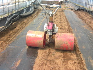 トマトハウス10-05-01-4.jpg