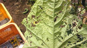 Image012.jpg